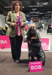 MVP Katowice 09.02.2025